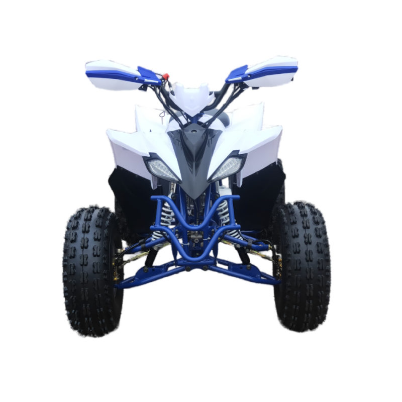 High quality 125cc 4x2 ATV for adults for kids four wheeler atv for sale FL-125ZY